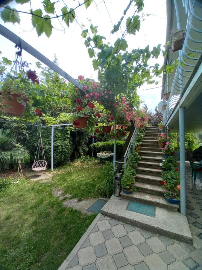 Valiko House In Telavi 호텔 외부 사진