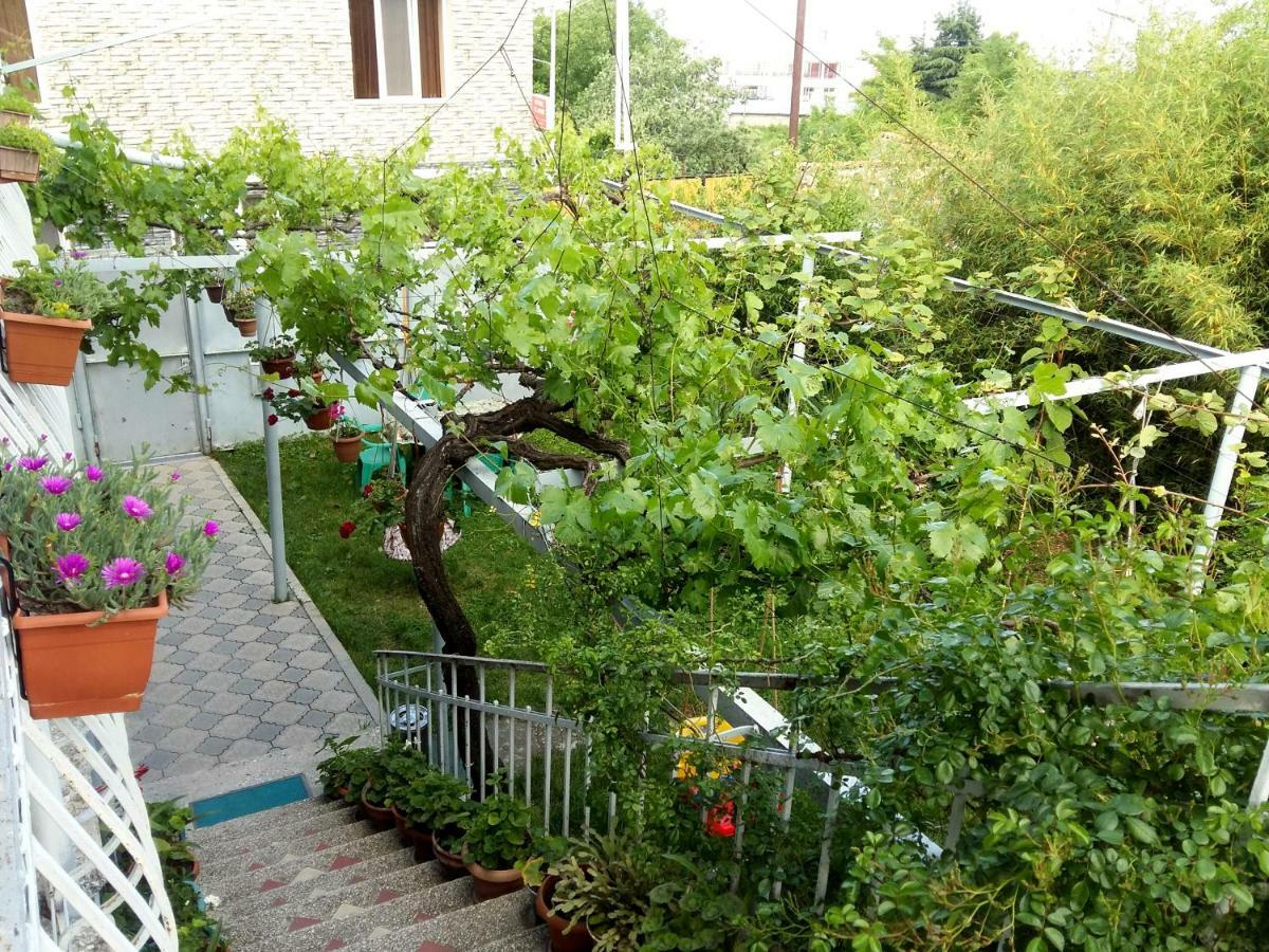 Valiko House In Telavi 호텔 외부 사진